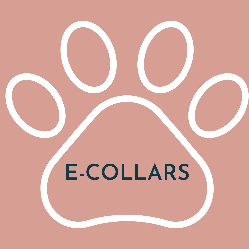 E-Collars