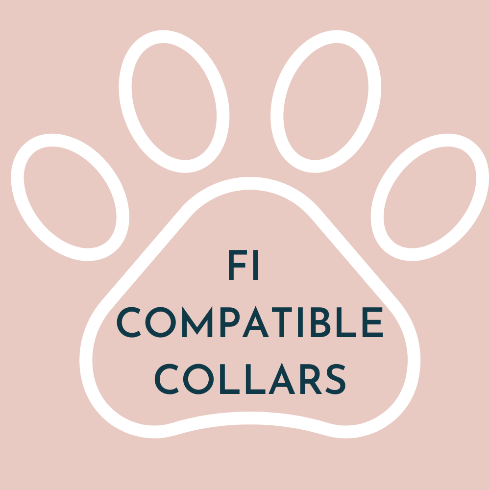 Fi Compatible Collars