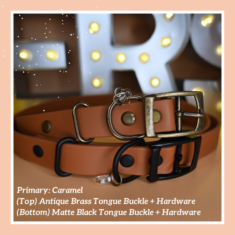 Classic Buckle Collar