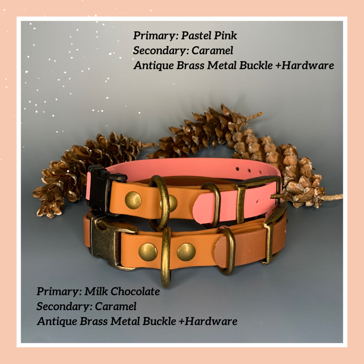 Classic Quick Release Collar with Tongue Buckle Adjustment