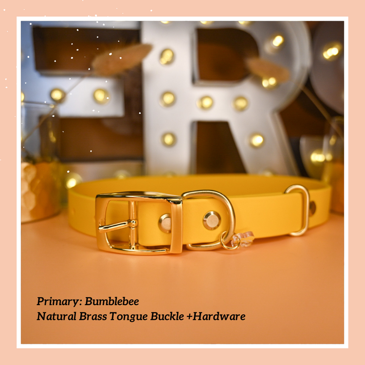 Classic Buckle Collar