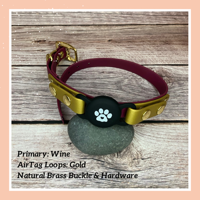 AirTag Layered Buckle Collar