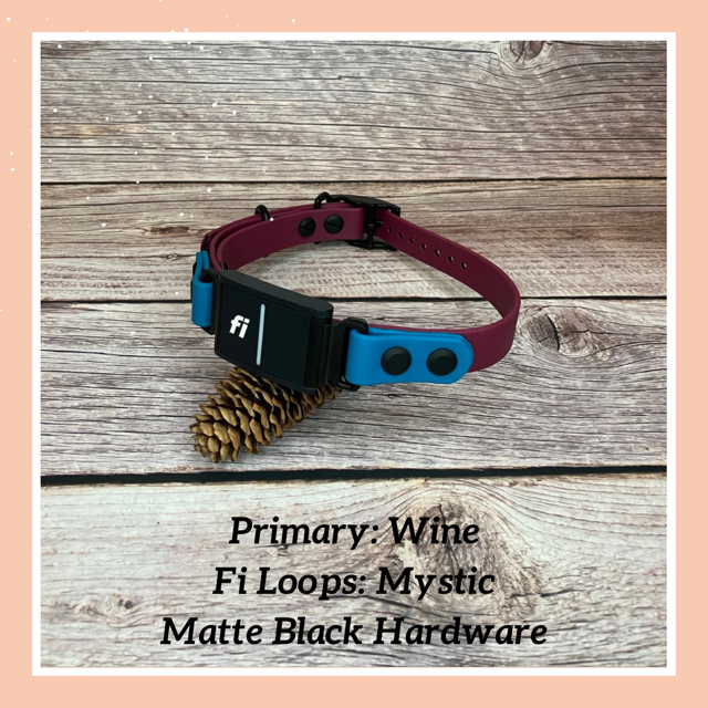 Fi Dogs GPS Layered Buckle Collar