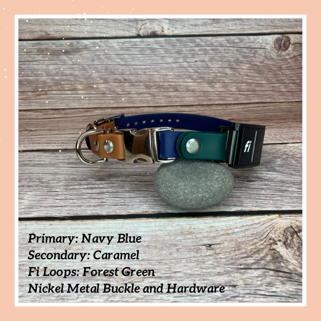 Fi GPS E collar Compatible Quick Release Collar Combo Collar