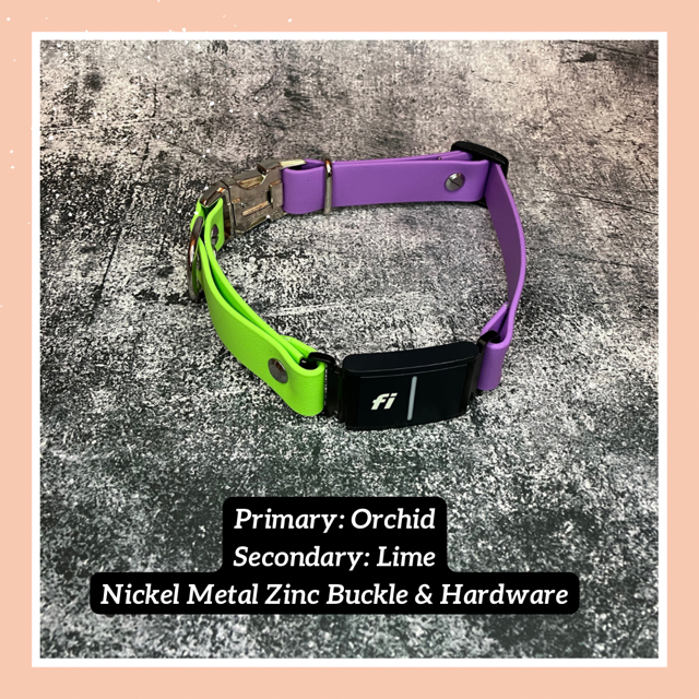 Fi Dogs GPS Traditional (In-Line) Quick Release Collar