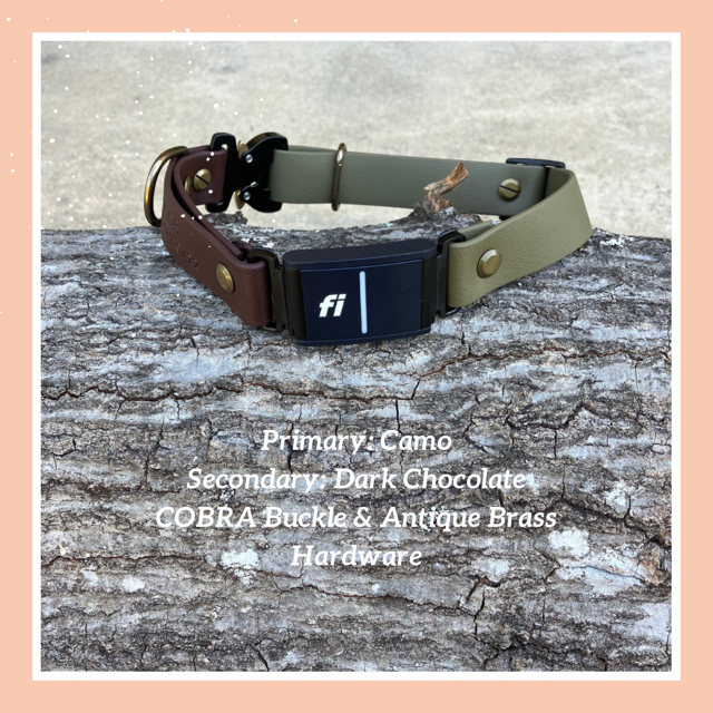 Fi Dogs GPS Traditional (In-Line) Quick Release Collar