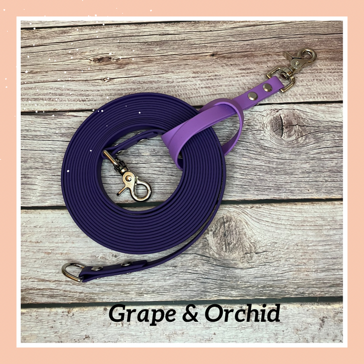 Long Line/Training Leash
