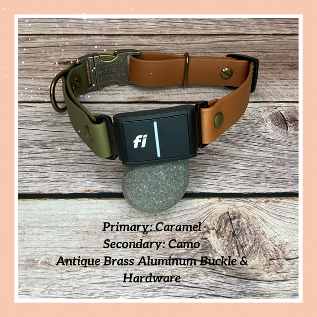 Fi Dogs GPS Traditional (In-Line) Quick Release Collar
