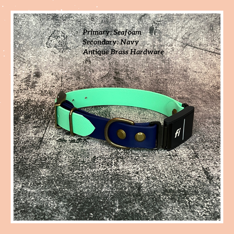 Fi Dogs GPS Traditional (In-Line) Collar with Tongue Buckle Adjustment