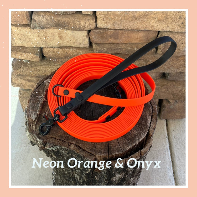 Long Line/Training Leash