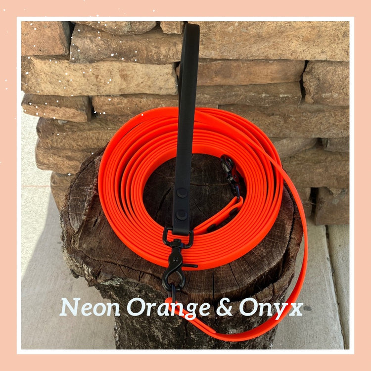 Long Line/Training Leash