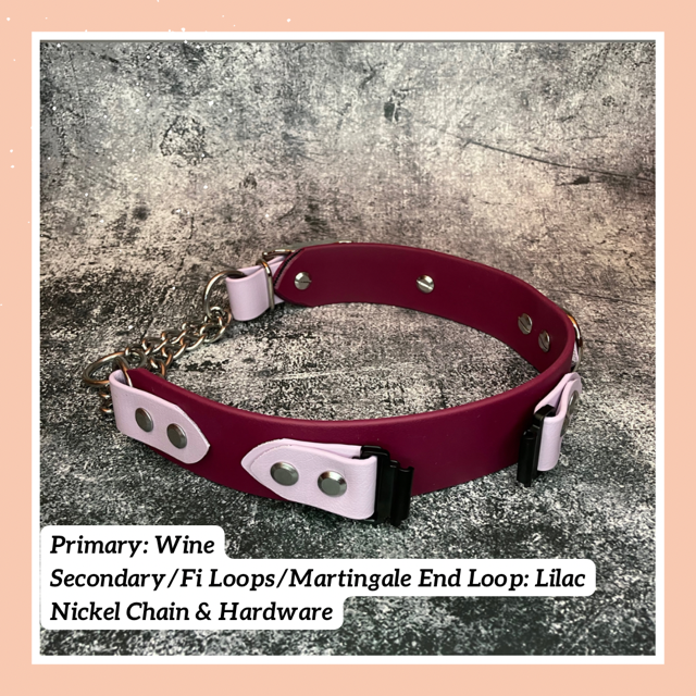 Fi Dogs GPS Compatible Martingale Collar Beau Nora