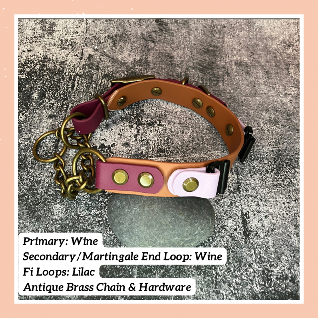 Fi Dogs GPS Compatible Martingale Collar