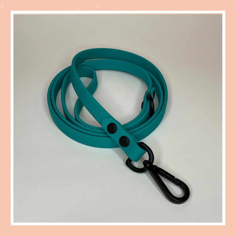 Leash 13 ~ Teal
