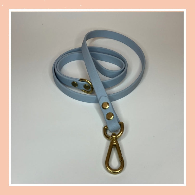 Leash 18 ~ Pastel Blue
