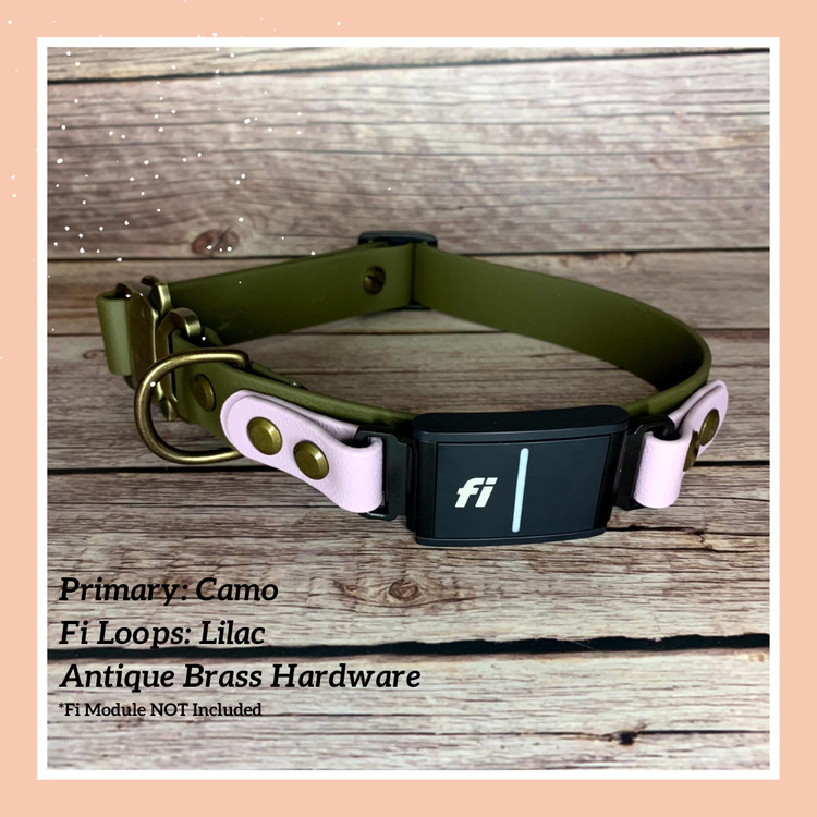 Fi Dogs GPS Layered Quick Release Collar with Slide Adjustment