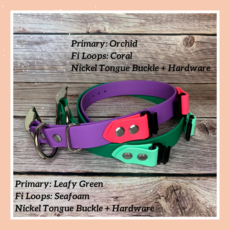 Fi Dogs GPS Layered Buckle Collar
