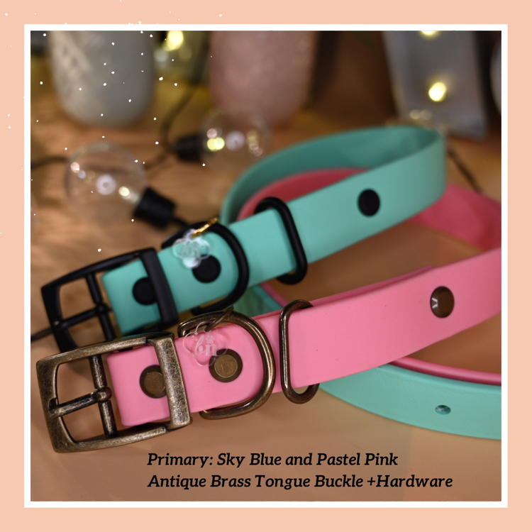 E-Collar Trainer Compatible Single Buckle Collar