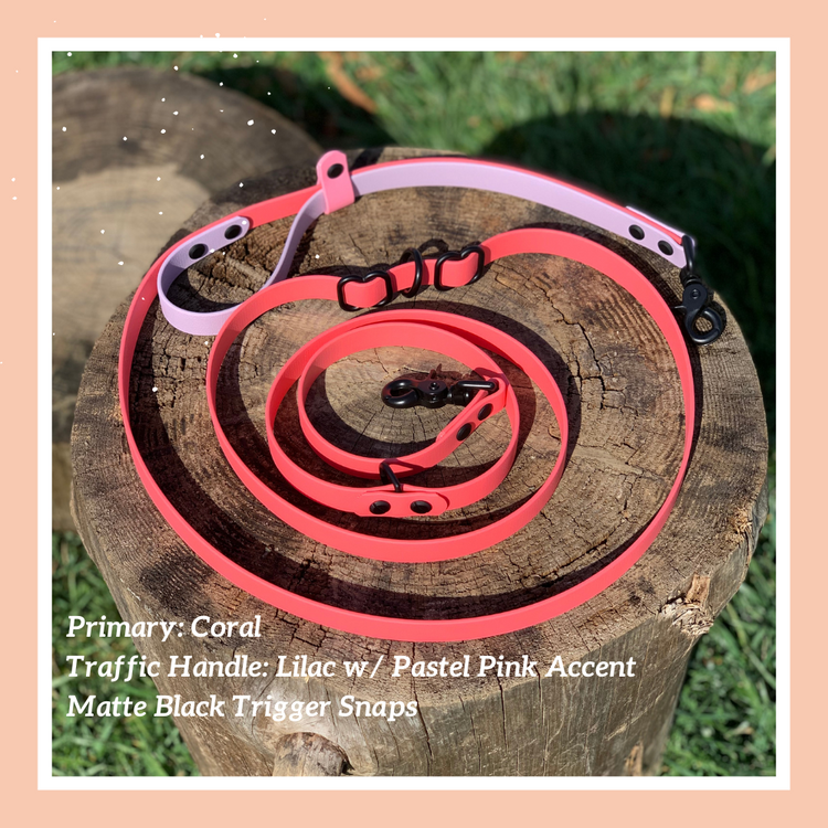 Multi-Function Leash