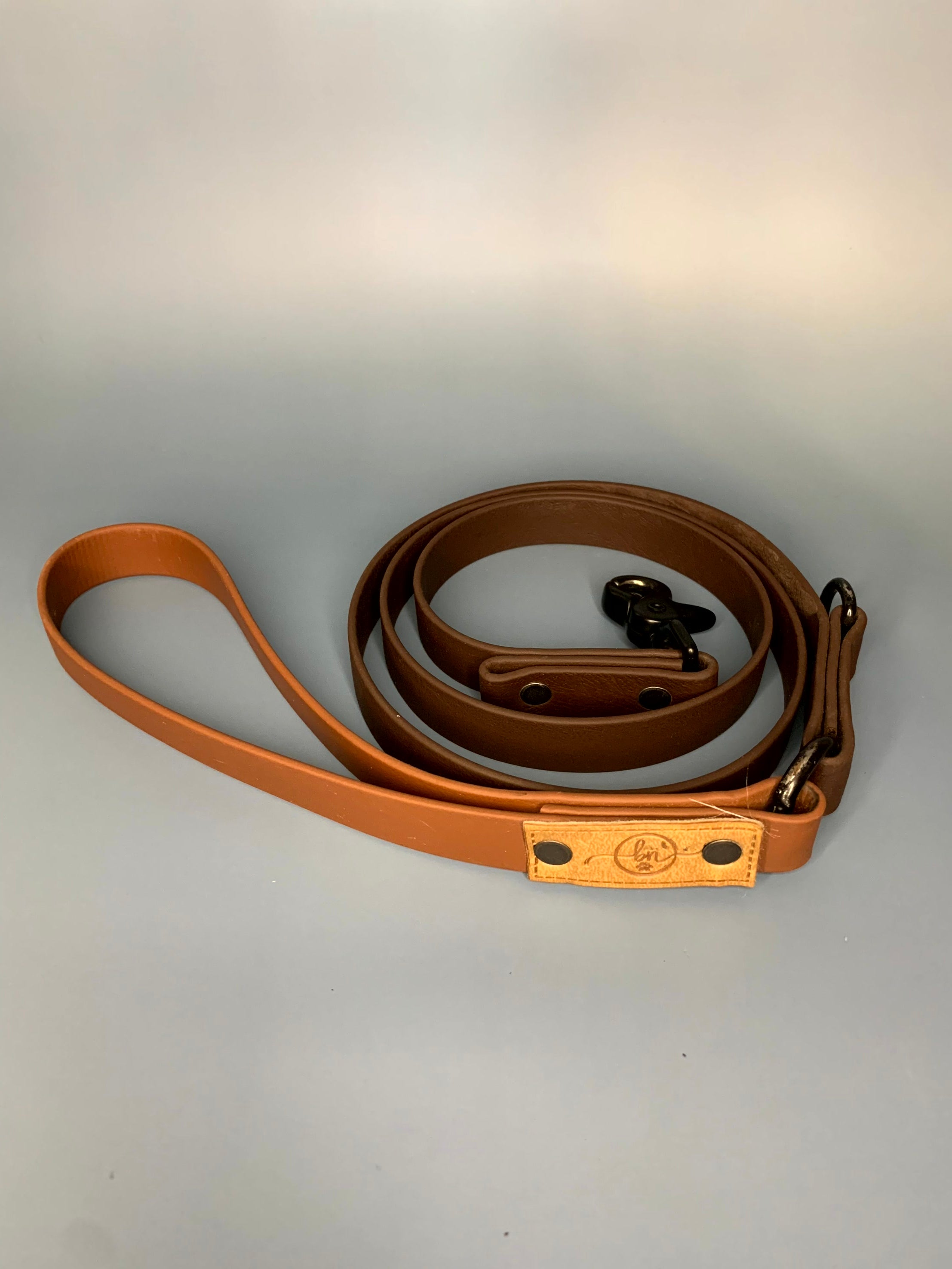 Leash 15 Beau & Nora