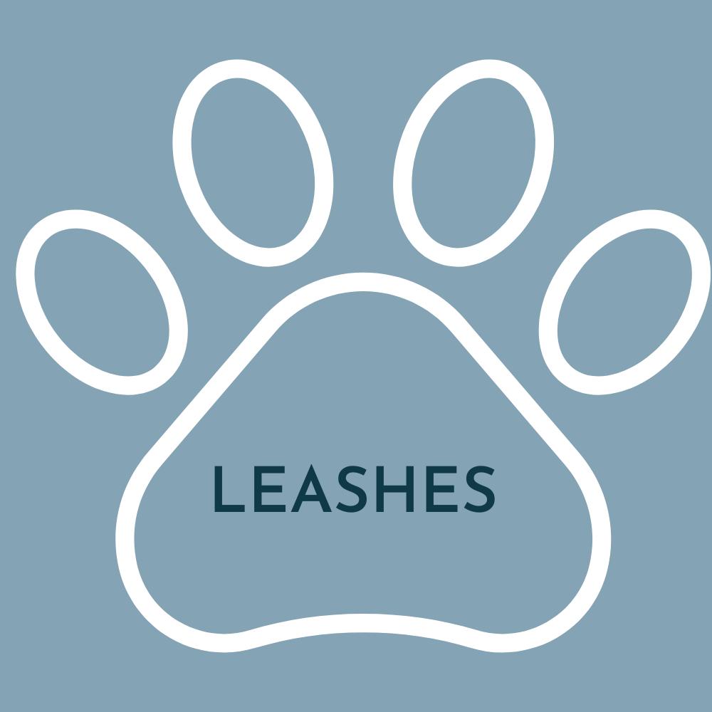 BioThane Leashes – Beau & Nora