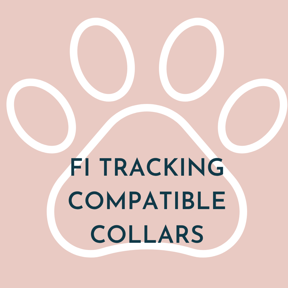 Fi Tracking Compatible Collar