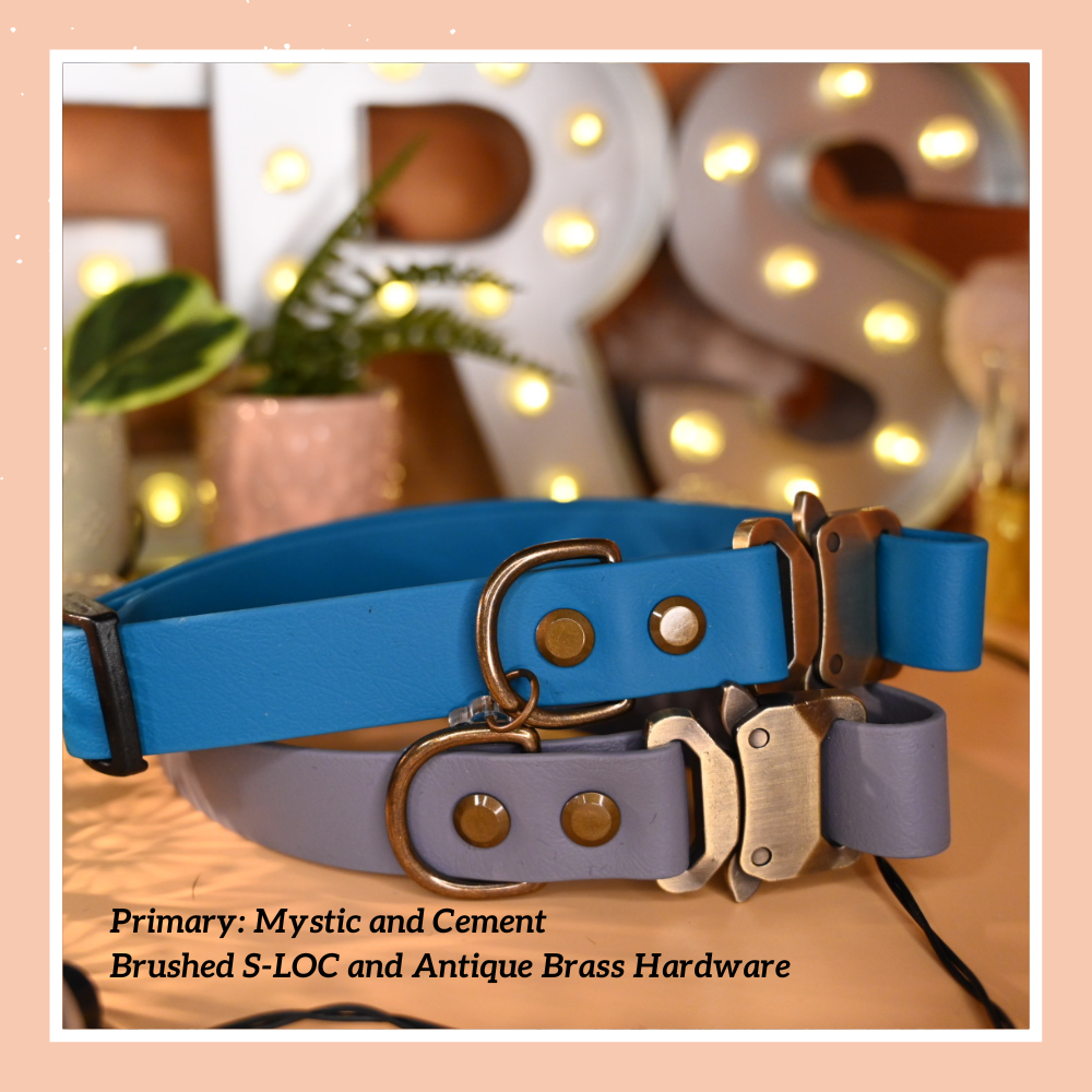 Classic Quick Release Collar with Slide Adjustment – Beau & Nora