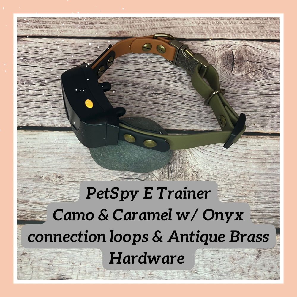 Best e collars 2018 online