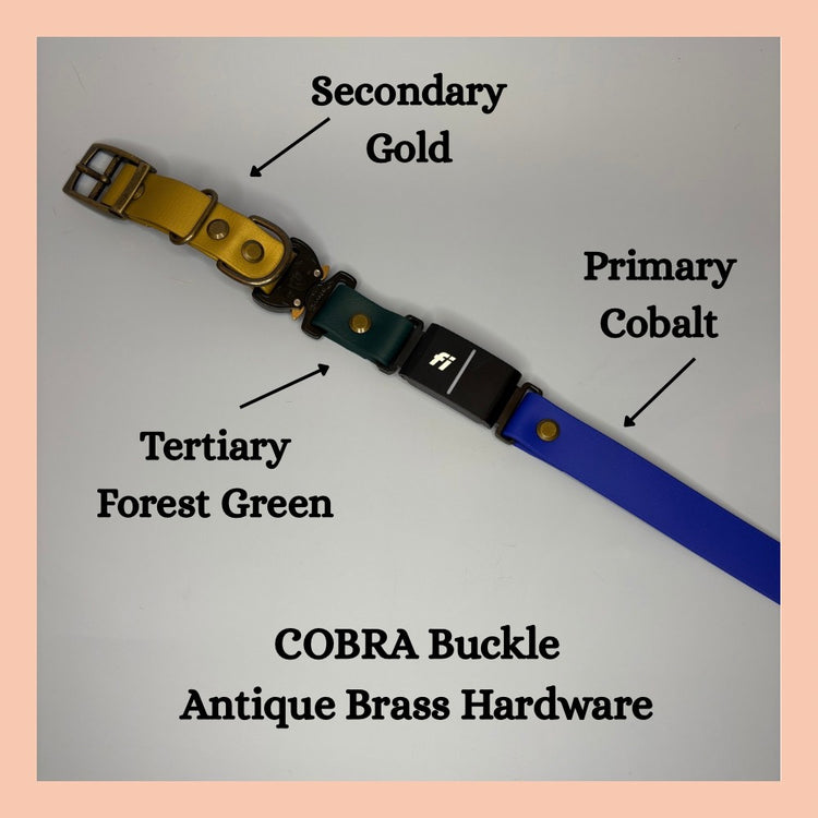 Fi GPS In-Line & E Compatible Quick Release w/ Tongue Buckle Combo