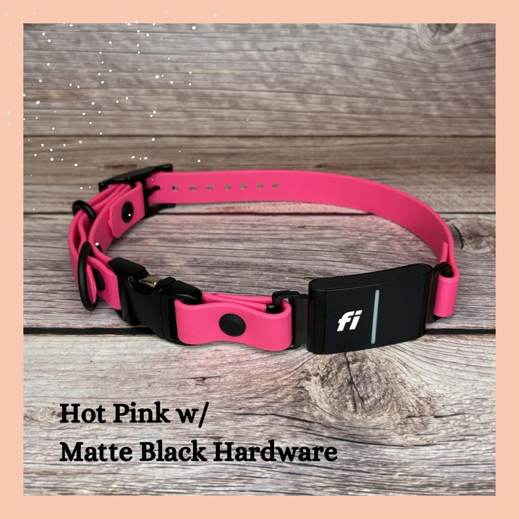 Fi GPS In-Line & E Compatible Quick Release w/ Tongue Buckle Combo