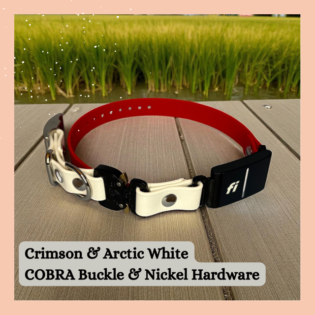 Fi GPS In-Line & E Compatible Quick Release w/ Tongue Buckle Combo