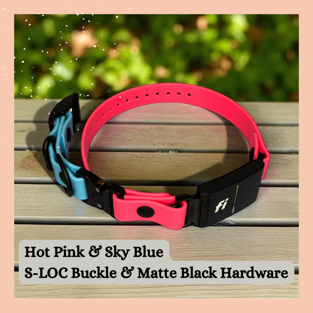Fi GPS In-Line & E Compatible Quick Release w/ Tongue Buckle Combo