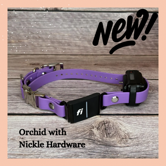 Fi GPS In-Line & E Compatible Quick Release w/ Tongue Buckle Combo