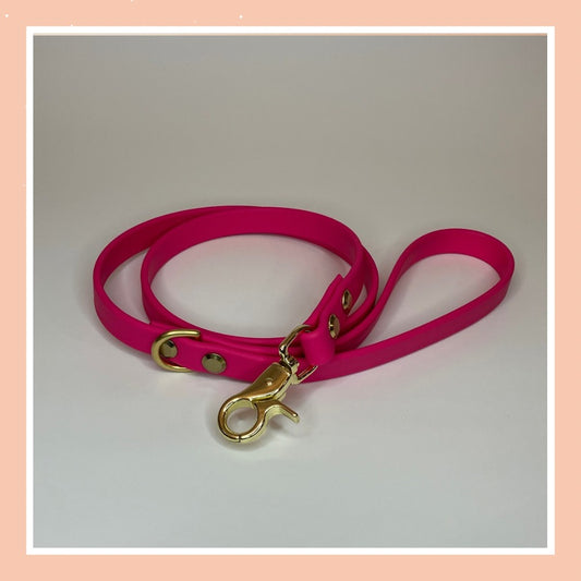 Leash 02 ~ Neon Pink