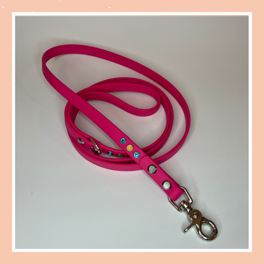 Leash 04 ~ Neon Pink