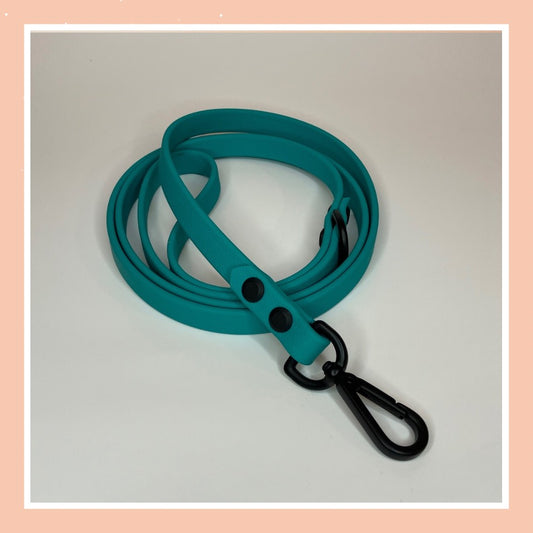 Leash 13 ~ Teal