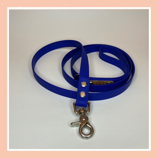 Leash 16 ~ Cobalt