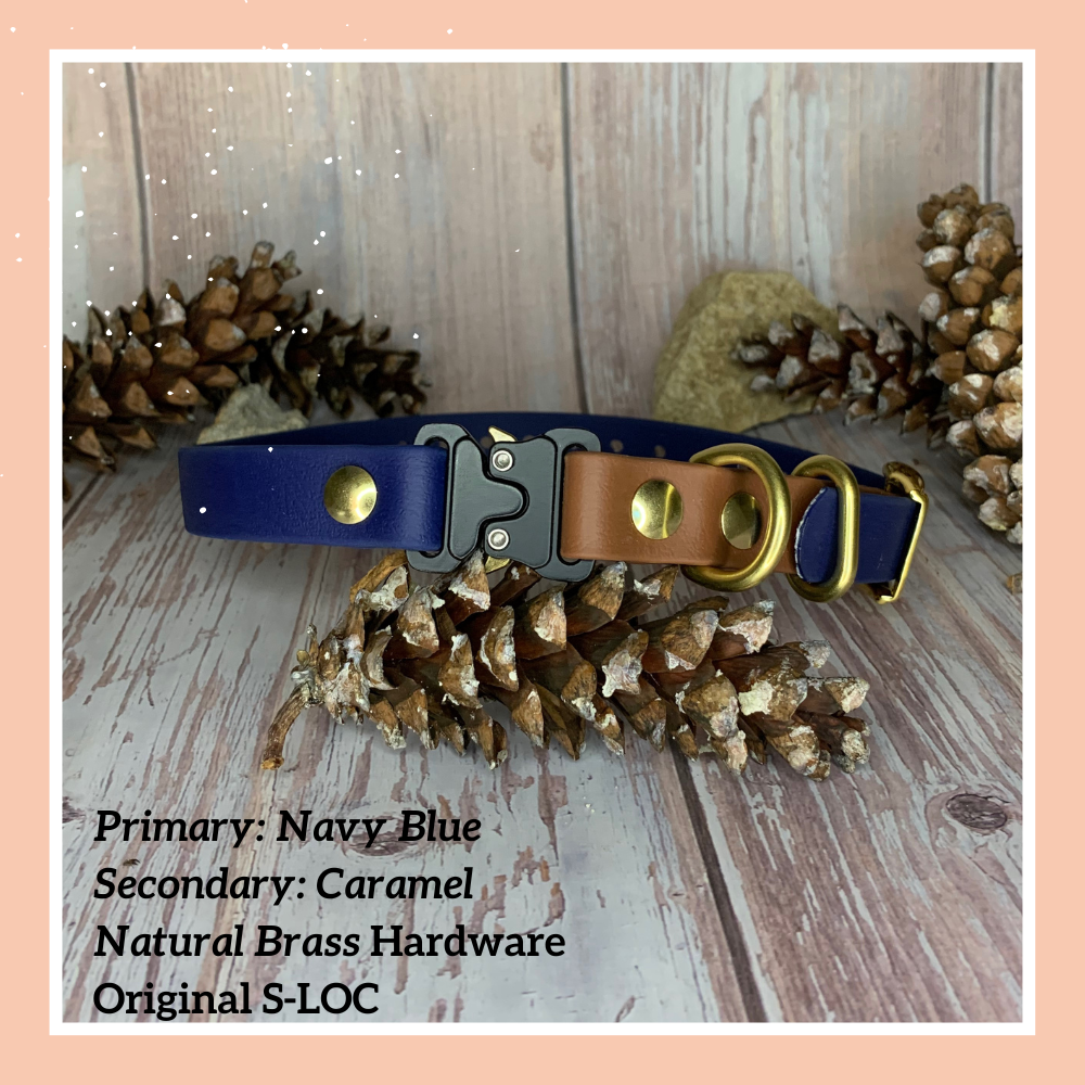 E-Collar Trainer Compatible Quick Release Collar