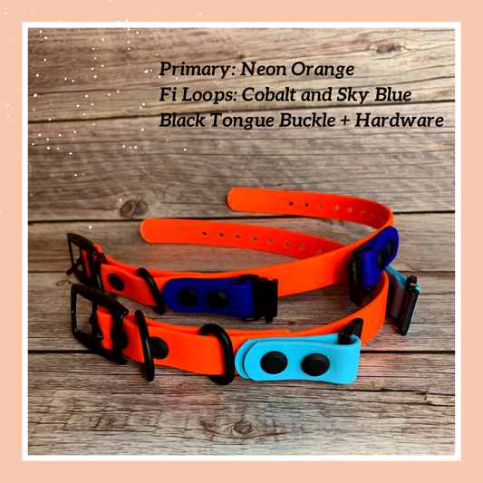 Fi GPS + E-collar Compatible Buckle Collar | Combo Collar