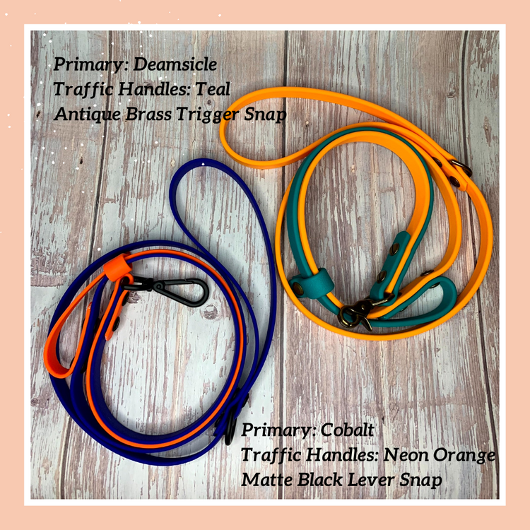 Custom Biothane Leash