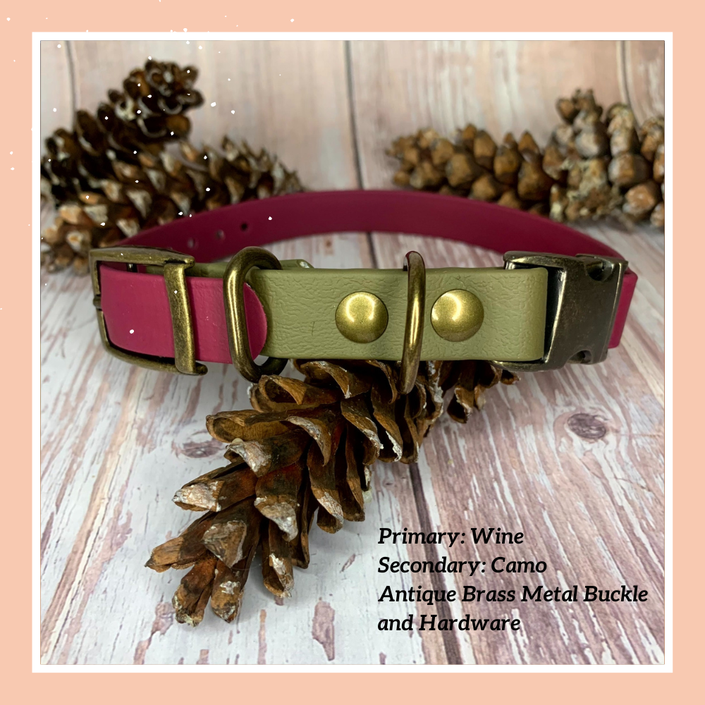E collars for clearance sale